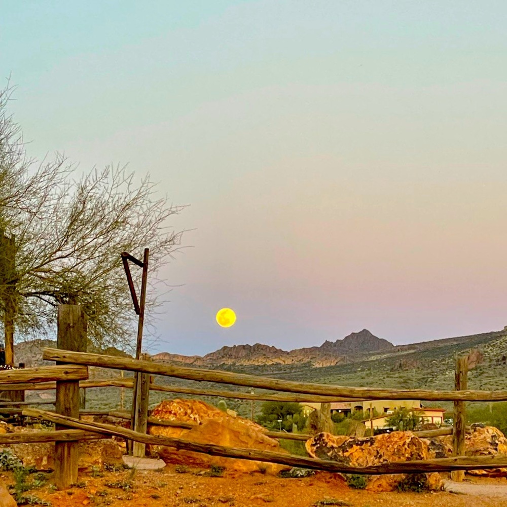 Meet your Posher, Alana